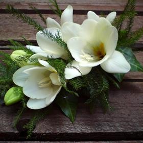 fwthumb08 ivory freesia corsage 11.95.jpg